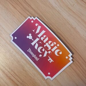Magic Key Disney AP magnet